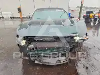 2019 Ford MUSTANG photo