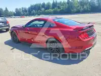 2019 Ford MUSTANG photo