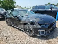 2019 Ford MUSTANG фото
