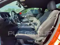 2019 Ford MUSTANG photo