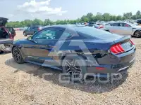 2019 Ford MUSTANG фото