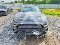 2019 Ford MUSTANG фото