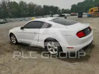 2019 Ford MUSTANG photo