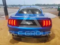2019 Ford MUSTANG фото