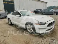 2019 Ford MUSTANG photo