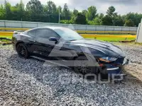 2019 Ford MUSTANG фото