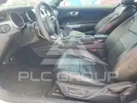 2019 Ford MUSTANG photo