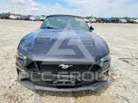 2019 Ford MUSTANG фото