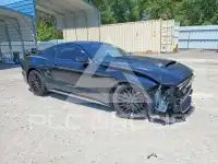 2019 Ford MUSTANG фото
