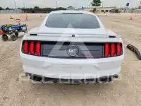 2019 Ford MUSTANG фото