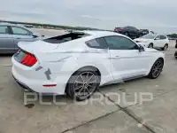 2019 Ford MUSTANG photo