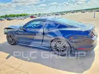2019 Ford MUSTANG photo