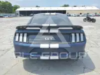 2019 Ford MUSTANG photo
