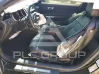 2019 Ford MUSTANG фото
