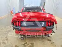 2019 Ford MUSTANG photo