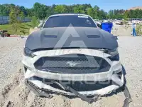 2019 Ford MUSTANG photo