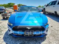 2019 Ford MUSTANG photo