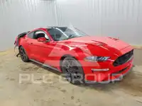 2019 Ford MUSTANG photo