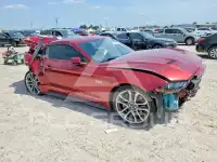 2019 Ford MUSTANG photo