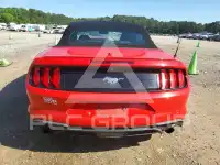 2019 Ford MUSTANG photo