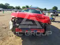 2019 Ford MUSTANG photo