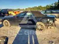 2019 Ford MUSTANG фото
