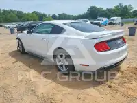 2019 Ford MUSTANG photo