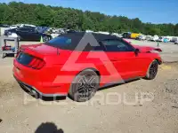2019 Ford MUSTANG photo