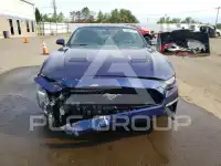 2019 Ford MUSTANG photo