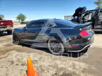 2019 Ford MUSTANG фото