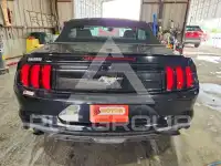 2019 Ford MUSTANG photo