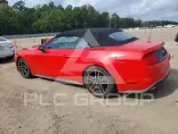 2019 Ford MUSTANG photo