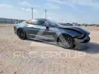2019 Ford MUSTANG фото