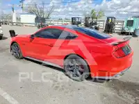 2019 Ford MUSTANG photo
