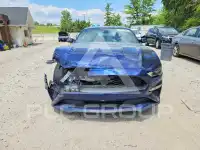 2019 Ford MUSTANG фото