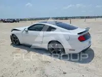 2019 Ford MUSTANG photo