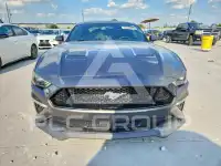 2019 Ford MUSTANG фото