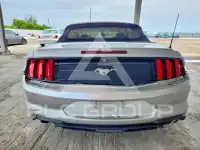 2019 Ford MUSTANG фото