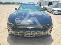 2019 Ford MUSTANG photo