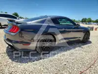 2019 Ford MUSTANG фото