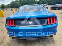 2019 Ford MUSTANG photo