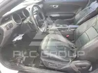 2019 Ford MUSTANG photo