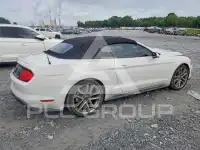 2019 Ford MUSTANG photo