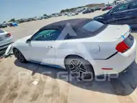 2019 Ford MUSTANG photo
