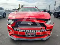 2019 Ford MUSTANG фото