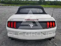2019 Ford MUSTANG photo