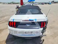 2019 Ford MUSTANG photo