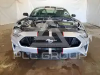 2019 Ford MUSTANG фото