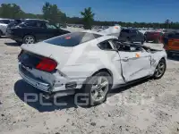 2019 Ford MUSTANG photo