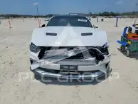 2019 Ford MUSTANG photo
